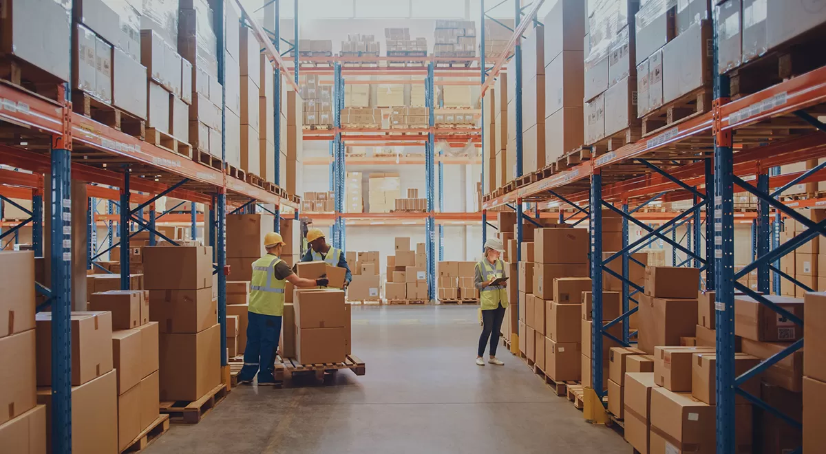 Entrepôt et logistique