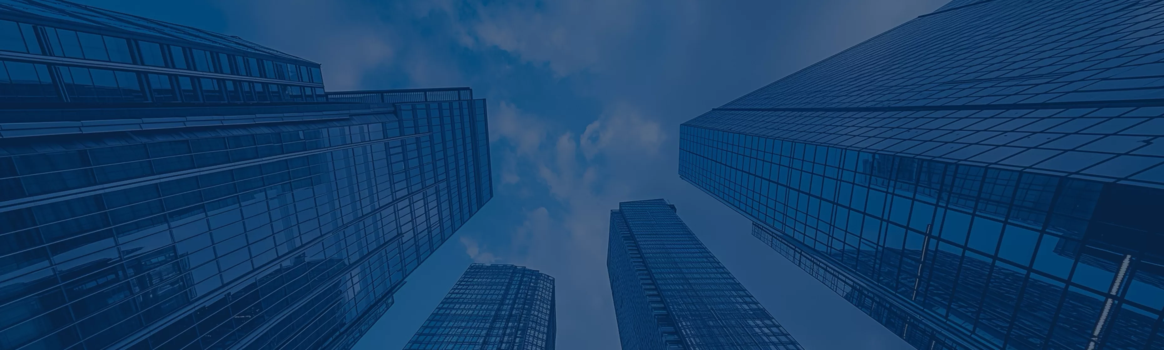 À propos de Rosiwit